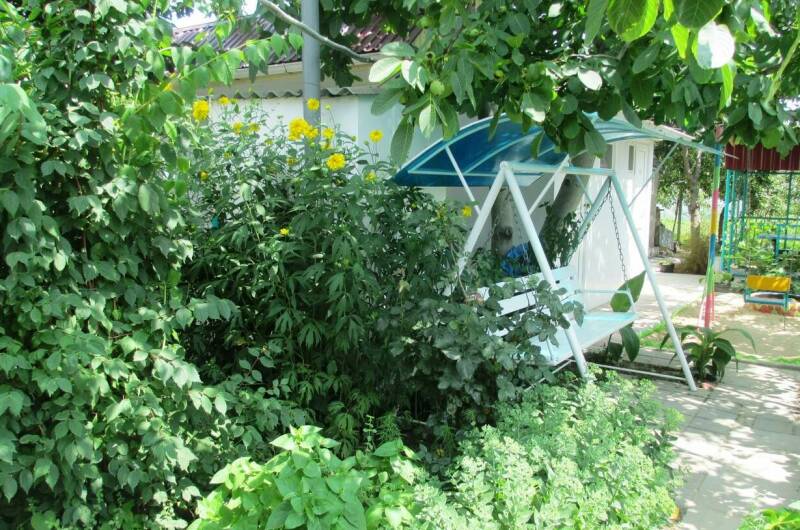 Номер Стандарт 1