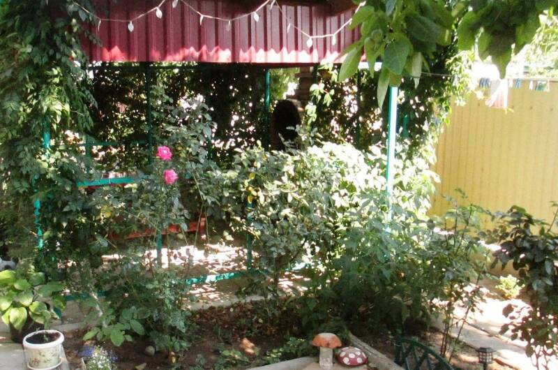 Номер «Стандарт»