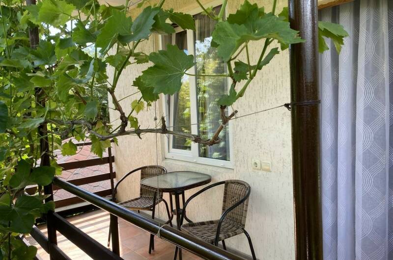 2-местный стандарт