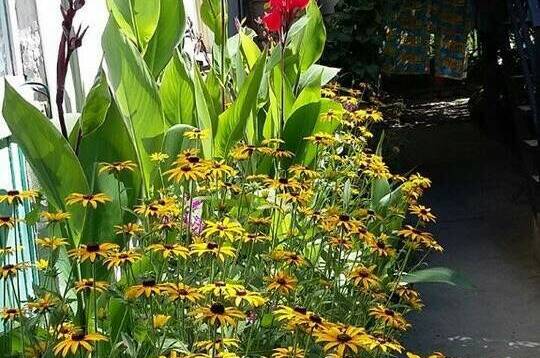 4-местный номер с удобствами