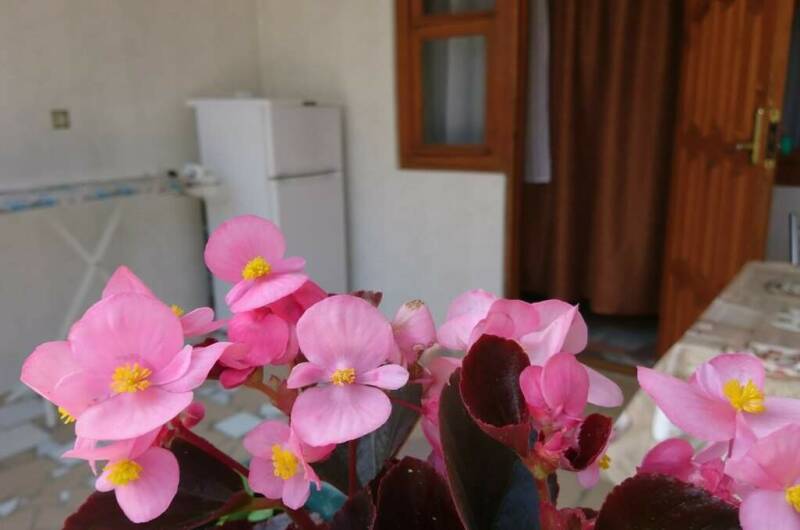 «Эконом» 4х местный, удобства рядом