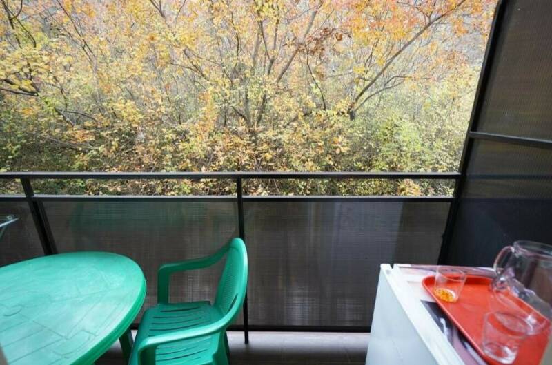 3-х мест. номер. Вид во двор (лес)