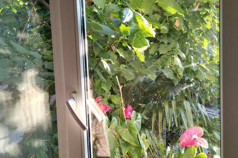 Трехкомнатный номер