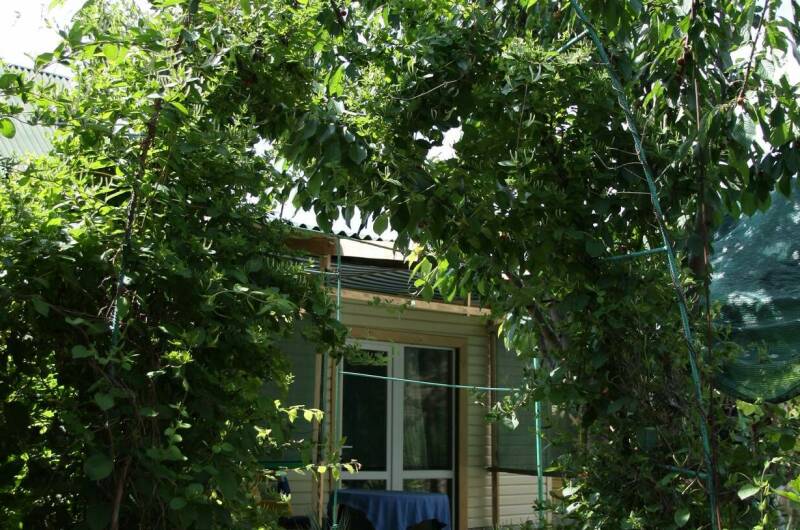 Номер 3-х мест «Мишка»