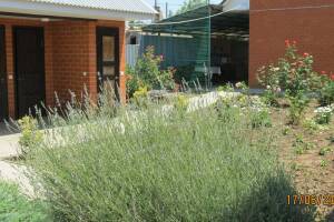 Изображение Изображение гостиницы "Гостевой дом «Афая»" #4 #4