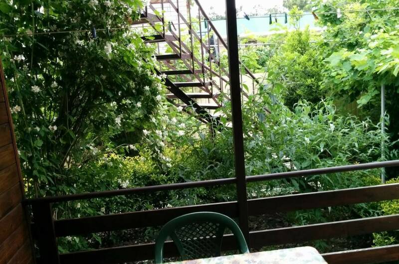 Номер 1: Кухня в номере, 1 этаж, 2х местный