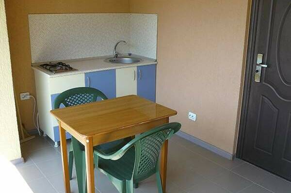 Номер 1: Кухня в номере, 1 этаж, 2х местный