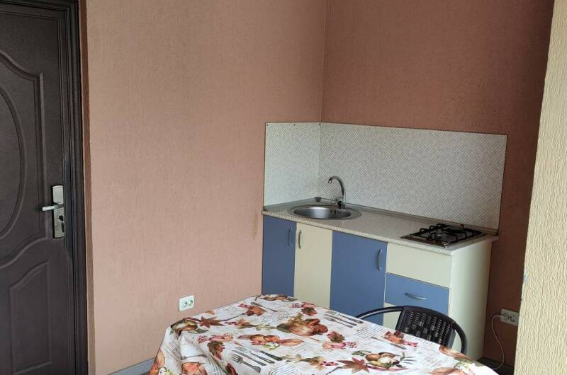 Номер 4: Кухня в номере, 2 этаж, 2х местный