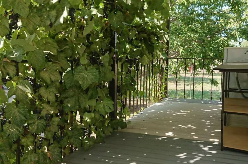 3-х местный номер с террасой