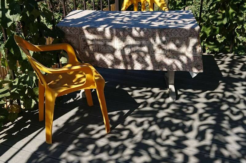 4-х местный номер с террасой