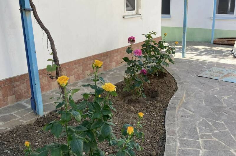 4-х местный номер с виноградной беседкой