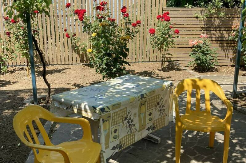 4-х местный номер с виноградной беседкой