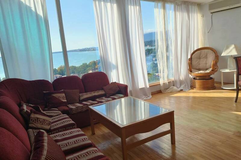 Люкс Мимоза