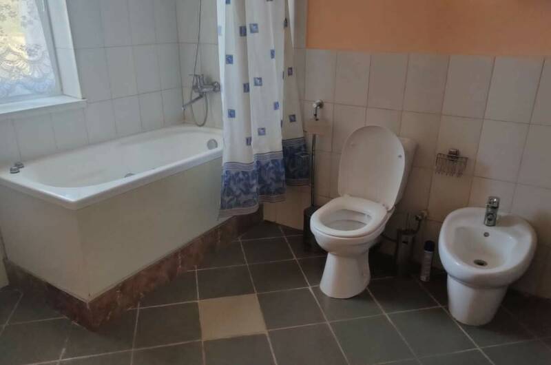 Люкс Мимоза