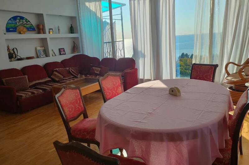 Люкс Мимоза