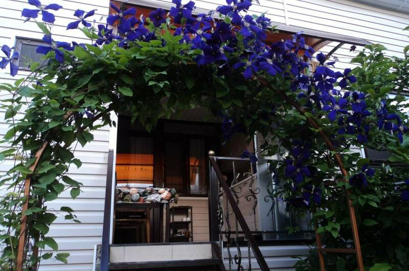 Номер на 4 человека