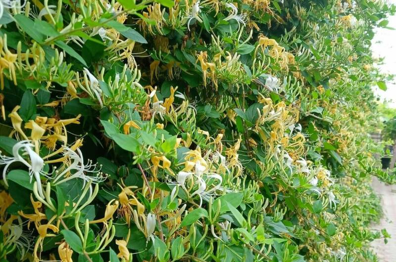 2х местный с санузлом в номере