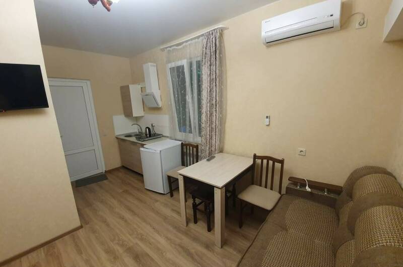 Студия с кухней и балконом