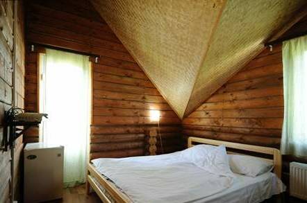 Номер «Ski dream»