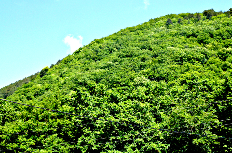 Четырехместный номер с балконом