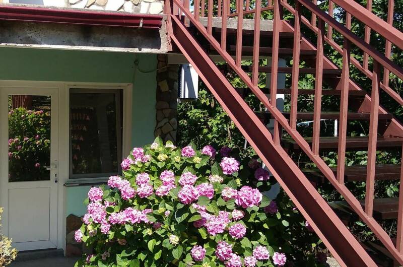 Четырехместный номер «Стандарт»