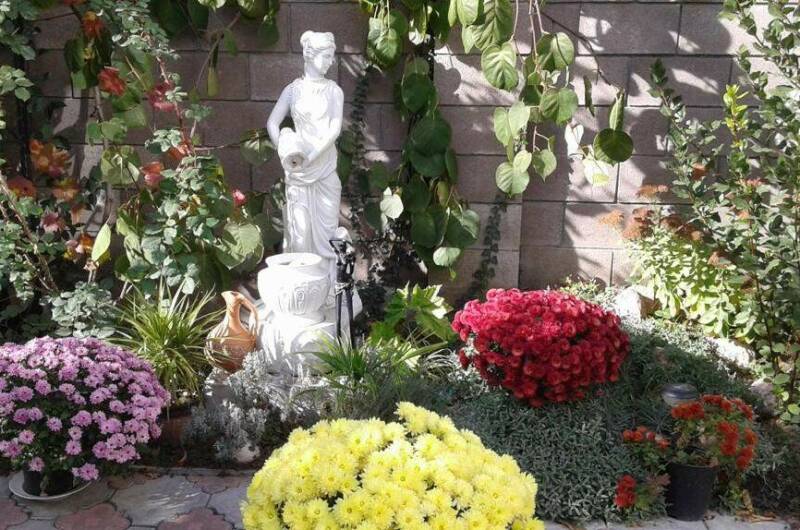 «Эконом» класс 2-х местный