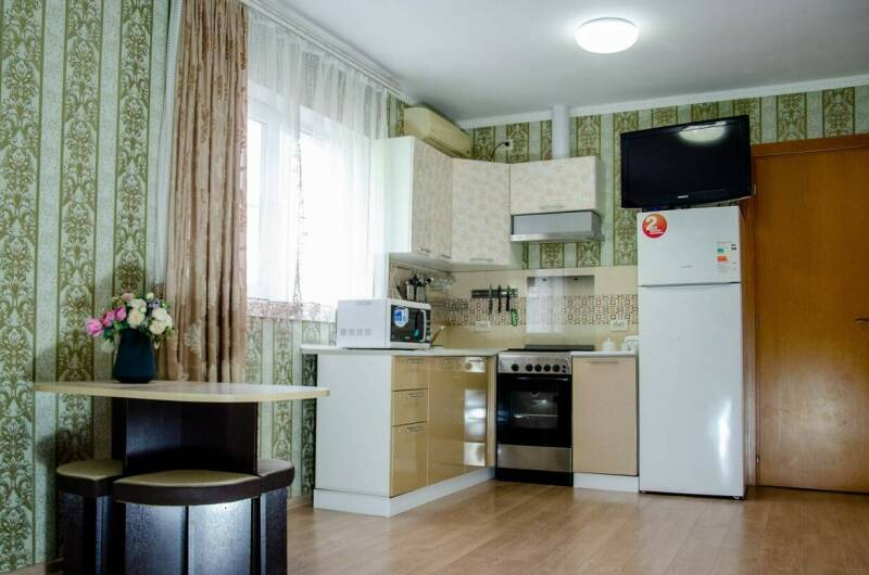 Двухкомнатный с кухней мансарда