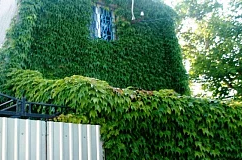 Зеленый домик под ключ