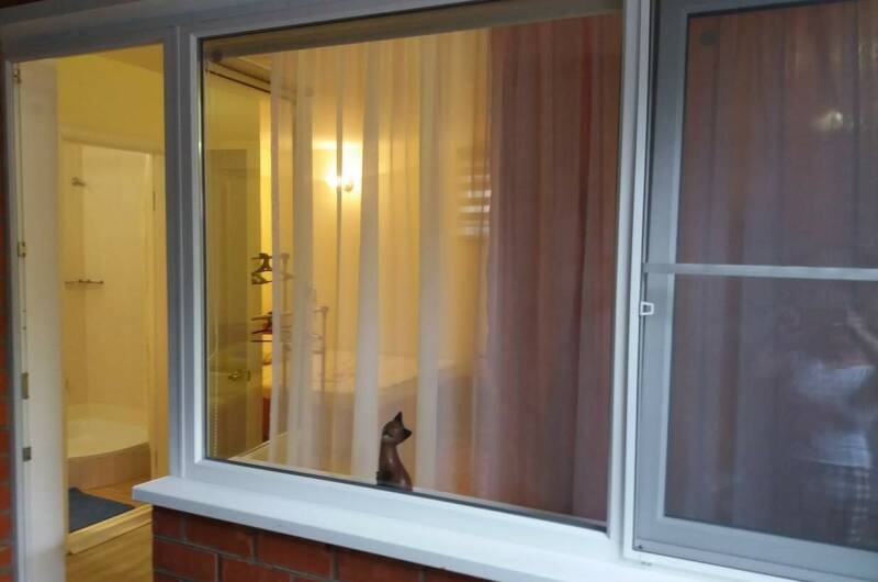 Трехместный номер на 1 этаже