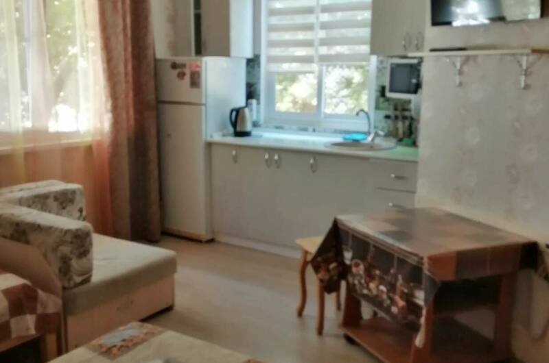 № 104 Трехместный номер + диван, кухня, Корпус 1