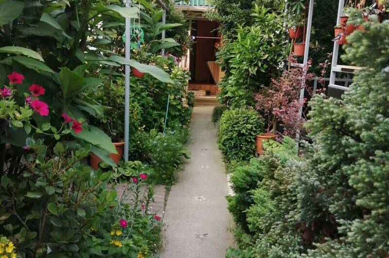 № 109 и № 110 с удобствами 4х местный. Корпус 1