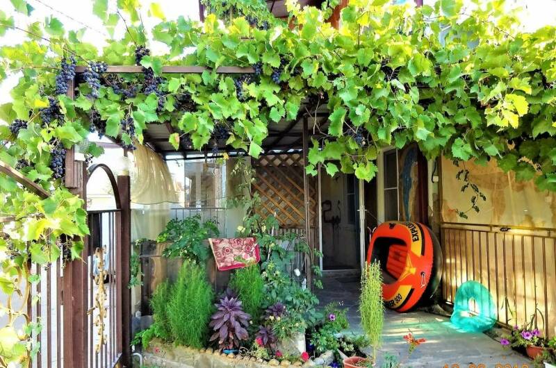 «Сафари» 5 местн. c отд. входом террасой, кухней