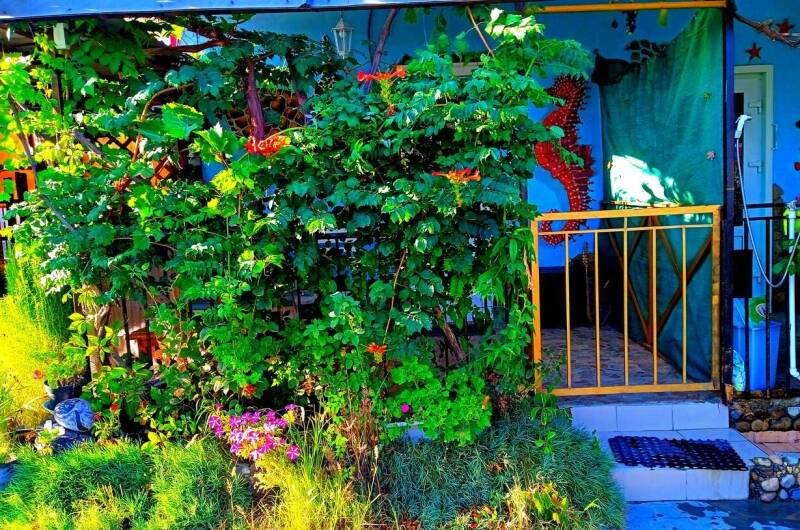 «Подсолнухи» 2-х мест. с отд. входом, террасой