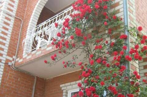 № 13 Четырехместный с удобствами на 2 номера