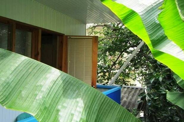 3-х местный «Сад» с балконом