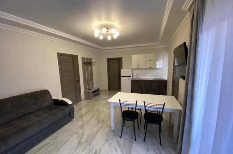 Однокомнатный номер с большой кухней-гостиной № 9