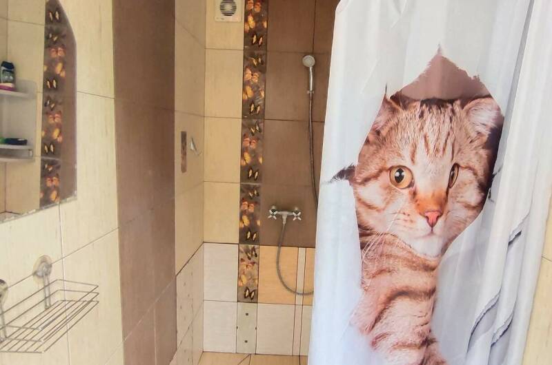 Семейный 4-х местный «Эконом» с кондиционером