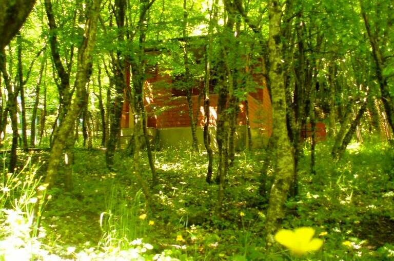 2-х местный «Эконом»