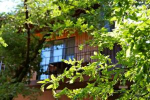 Изображение Изображение гостиницы "База отдыха «Нефтяник»" #3 #3