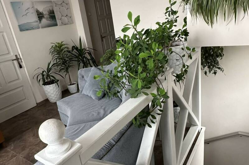 3-х местный номер (№ 12)