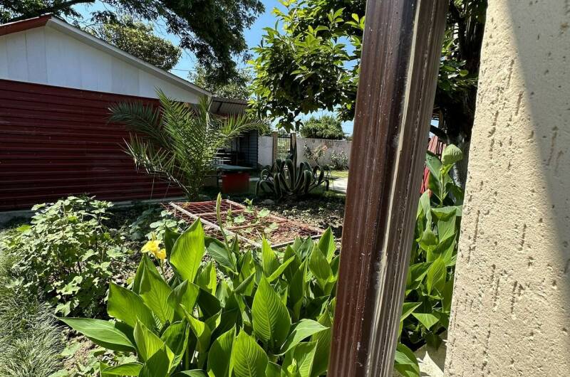 4-х местный номер (N14)