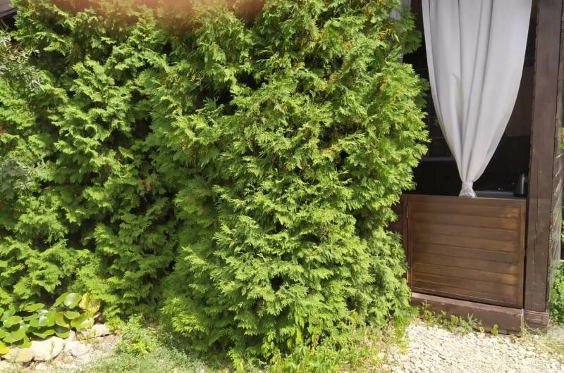 Номер Кантри"Сиреневый" с кухней