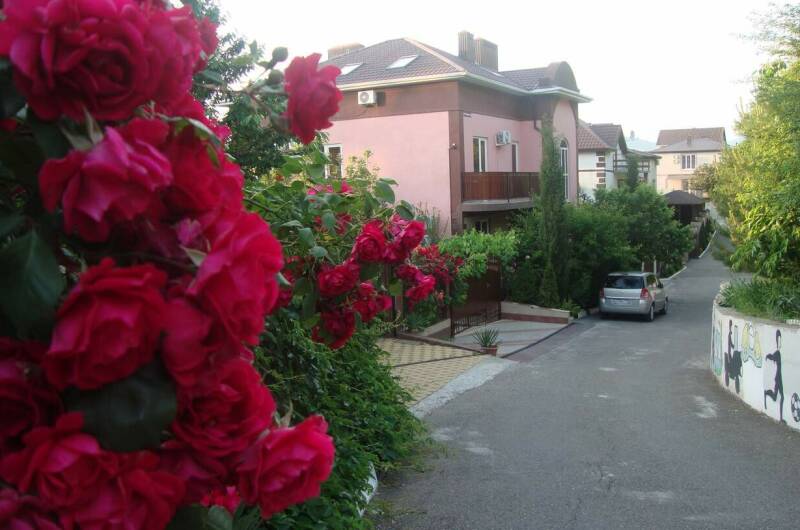 Номер Райский Сад двухкомнатный на 5 мест