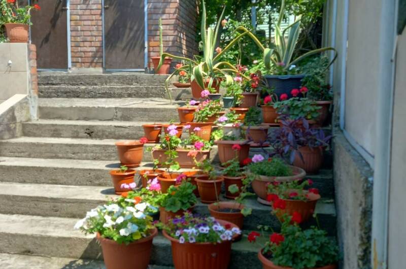 3 местный с удобствами