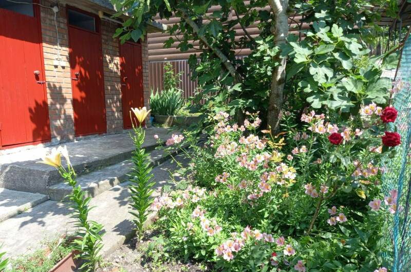 2 местный эконом