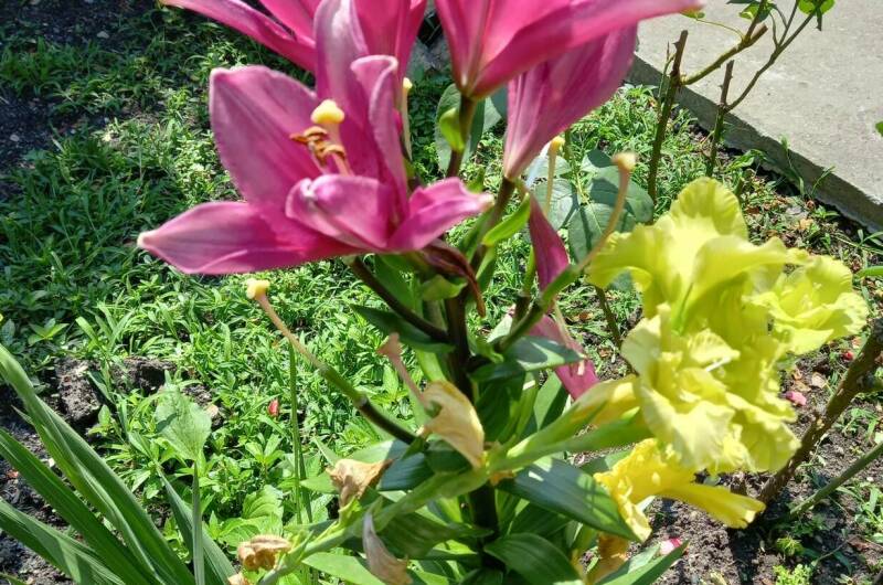 2 местный эконом