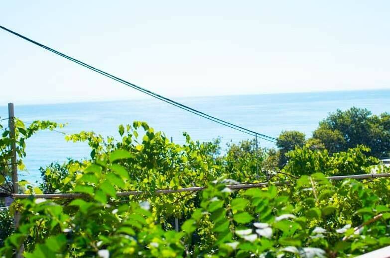 Со всеми удобствами, с балконом и видом на море