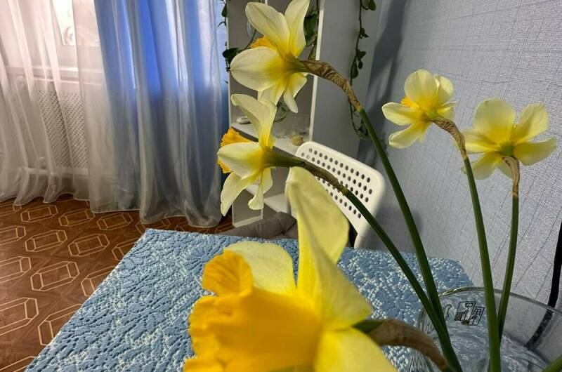 2-х местный «Стандарт»