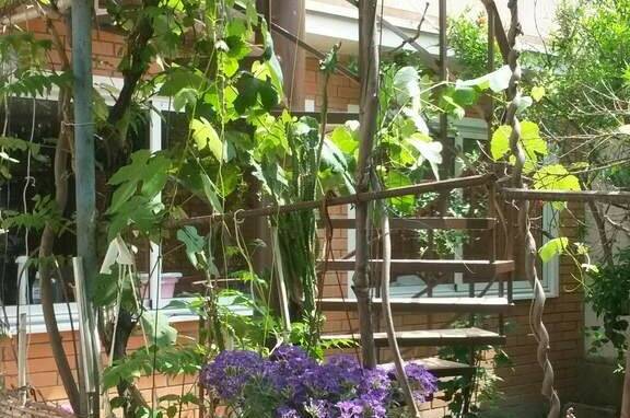 Люкс 3-х местный