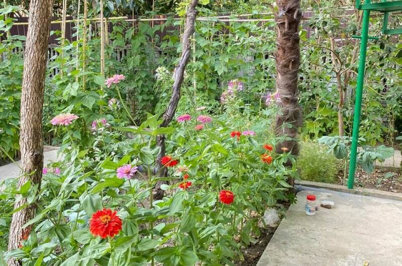 4-х местный стандарт с кухней и терассой